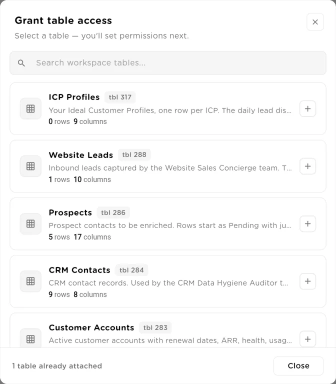 Grant table access dialog listing workspace tables with row and column counts