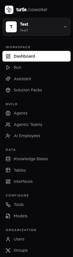 The left navigation with the organization card and the Workspace, Build, Data, Configure and Organization sections