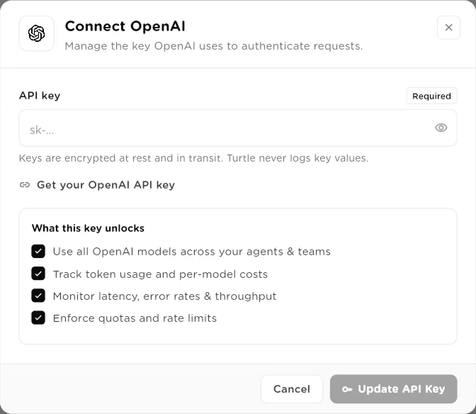 Connect OpenAI dialog with the API key field and a checklist of what the connection gives you