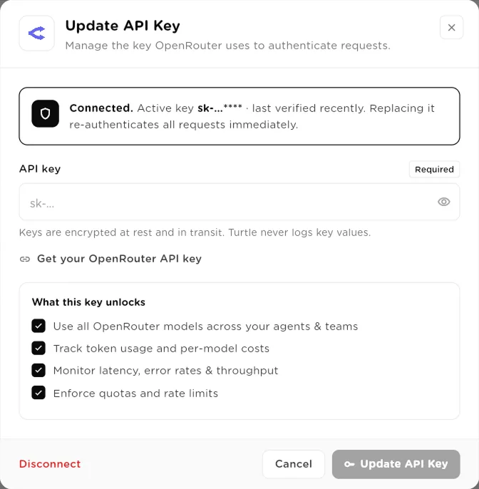 Update API Key dialog showing the masked active key, a new key field and a Disconnect link